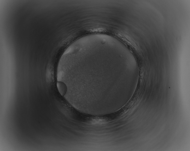 X0000100950547200807151339