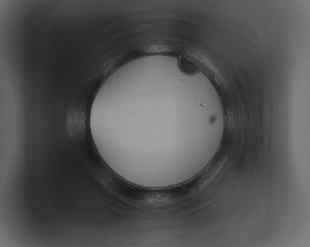 X0000100950549200807151339