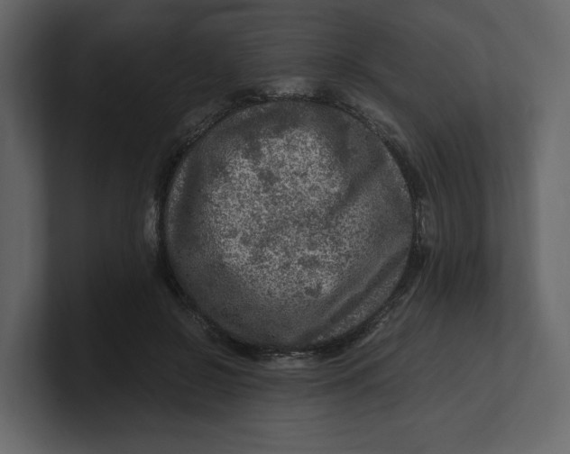 X0000100950550200807151339