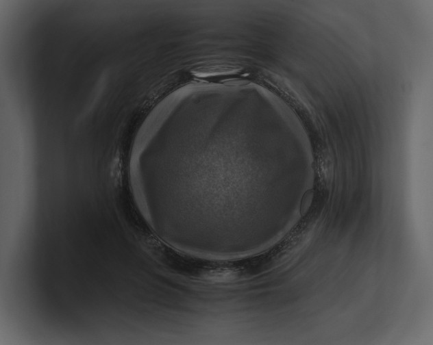 X0000100950551200807151339