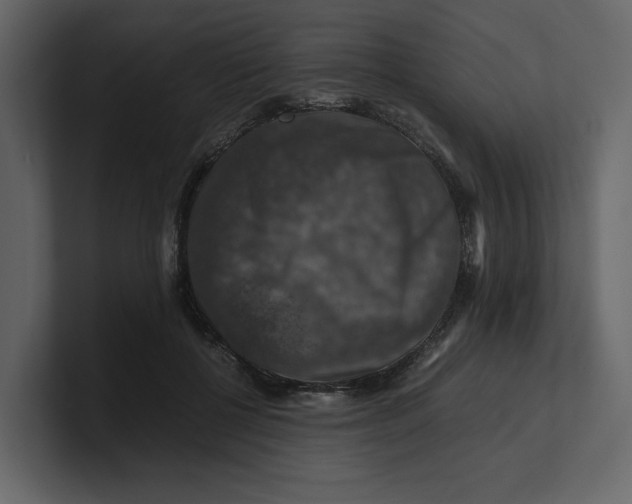 X0000100950552200807151339