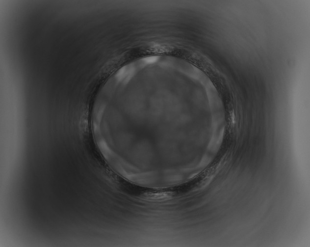 X0000100950553200807151339