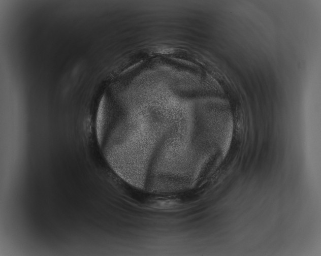 X0000100950555200807151339