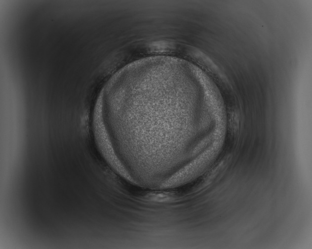 X0000100950557200807151339