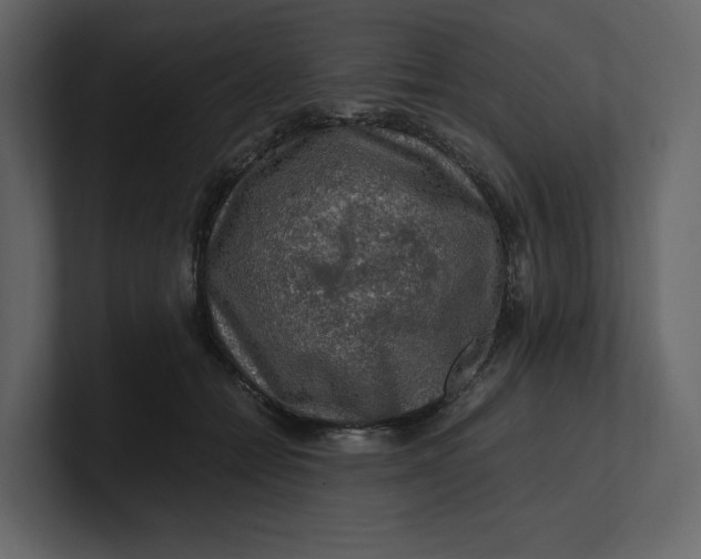 X0000100950558200807151339