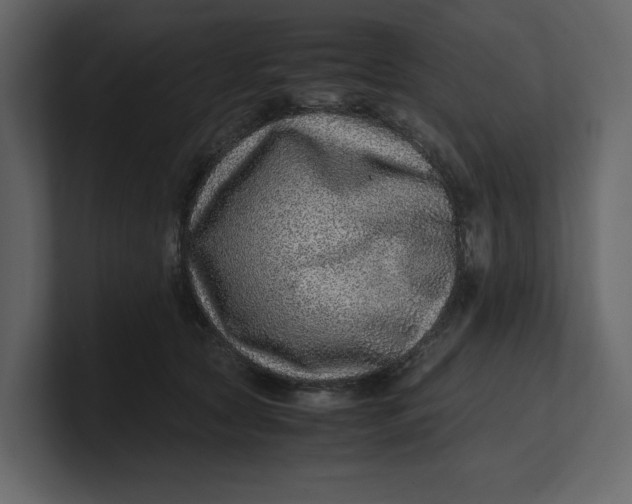 X0000100950561200807151339