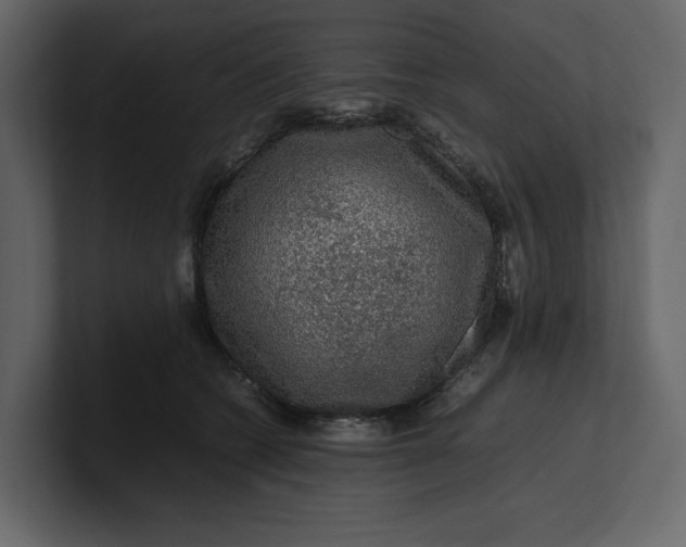 X0000100950562200807151339