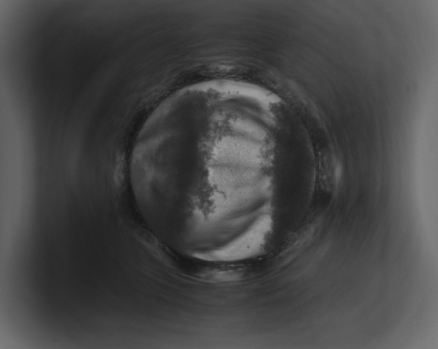 X0000100950563200807151339