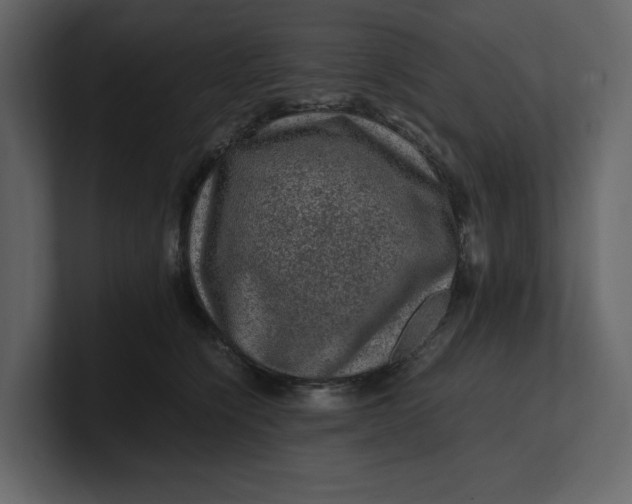 X0000100950564200807151339