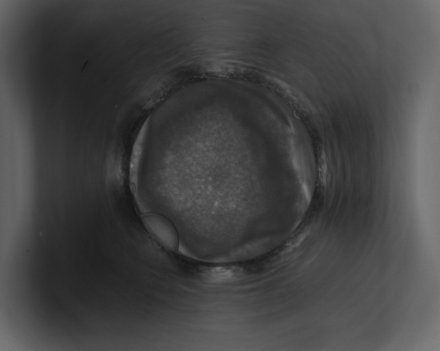 X0000100950566200807151339