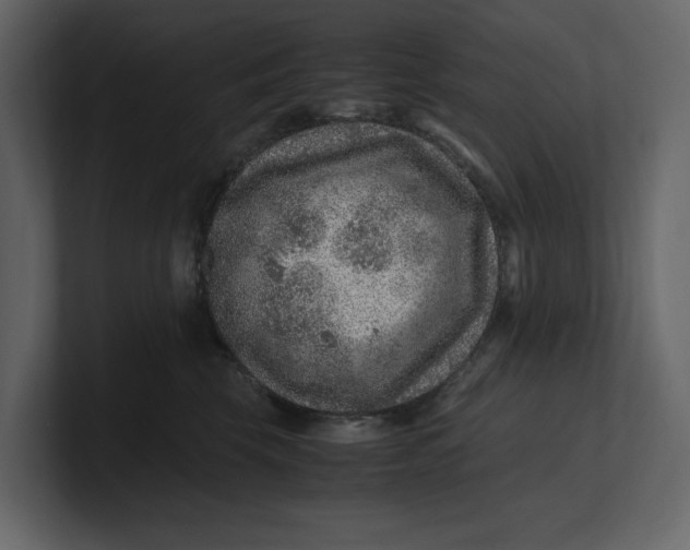 X0000100950569200807151339