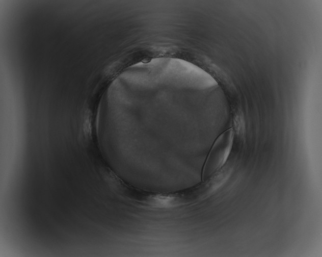 X0000100950570200807151339