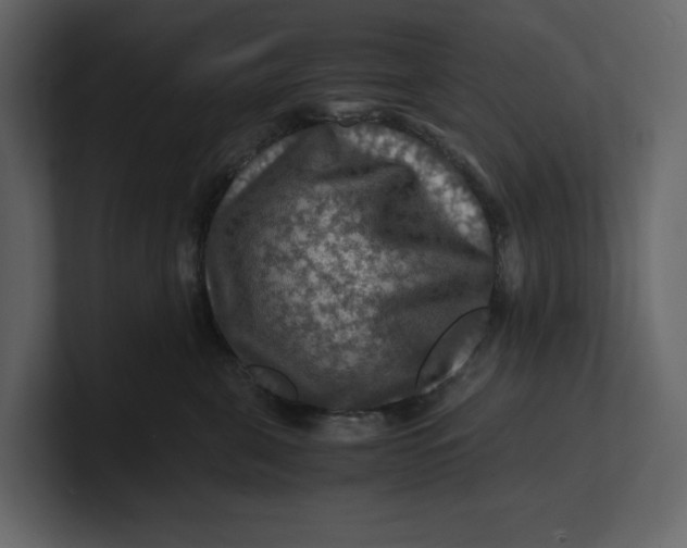 X0000100950571200807151339