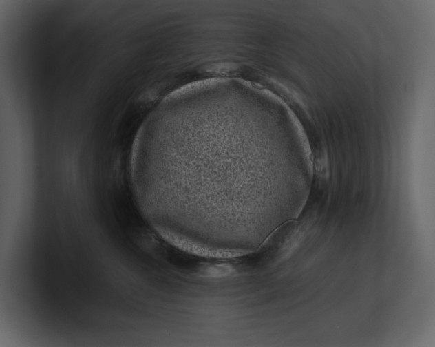 X0000100950572200807151339