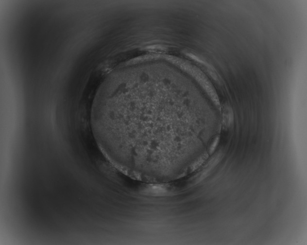 X0000100950573200807151339