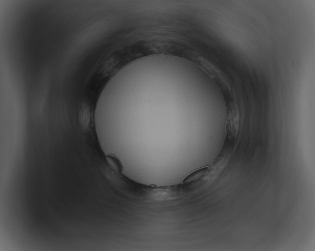 X0000100950574200807151339