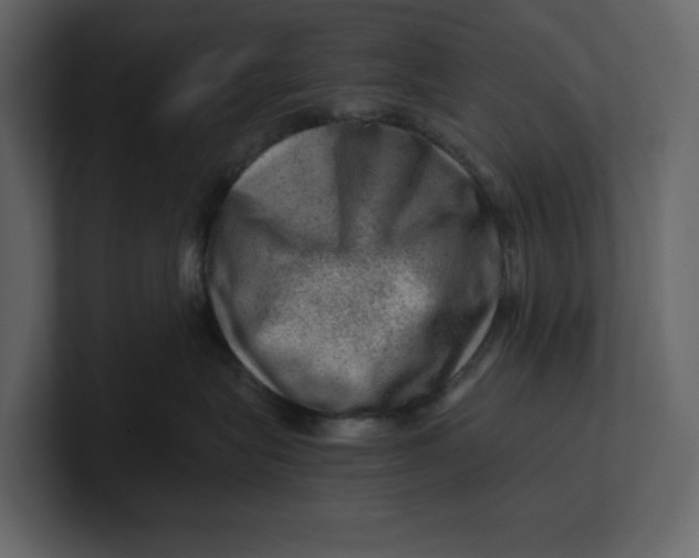 X0000100950575200807151339