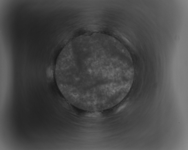 X0000100950576200807151339