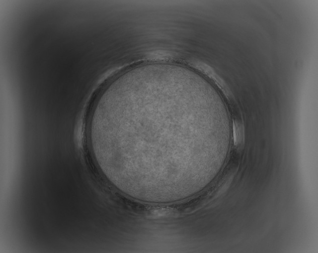 X0000100950579200807151339