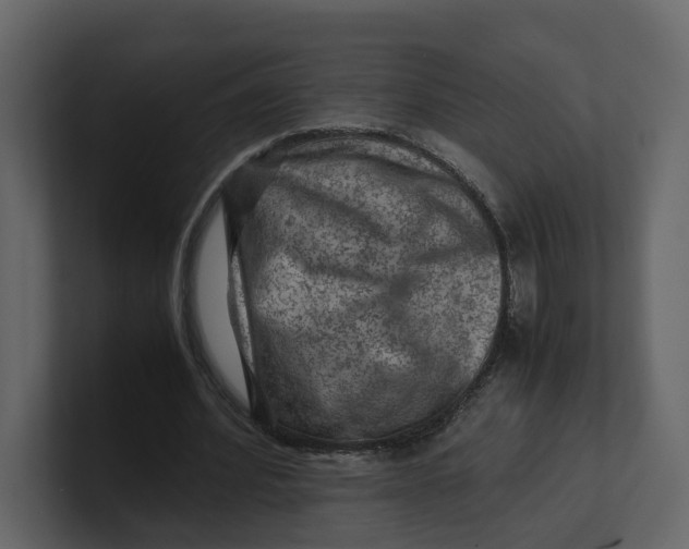 X0000100950580200807151339