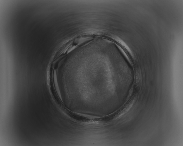 X0000100950581200807151339