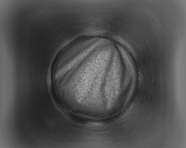 X0000100950582200807151339