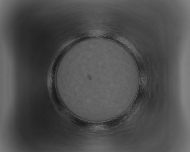 X0000100950583200807151339