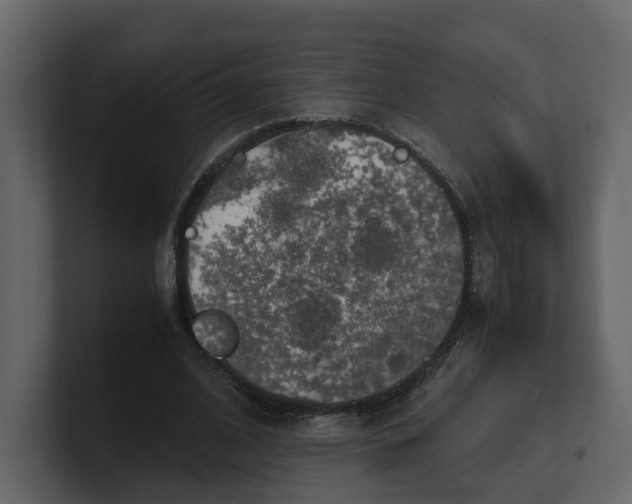 X0000100950584200807151339