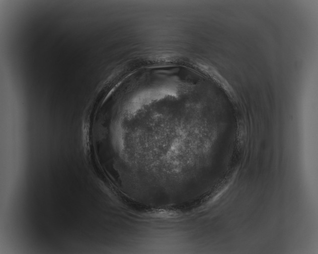 X0000100950585200807151339