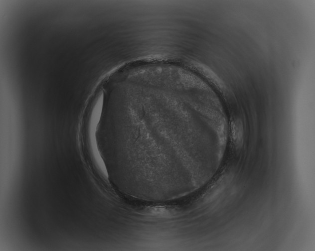 X0000100950588200807151338