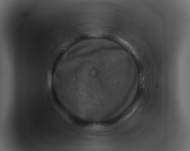 X0000100950589200807151338