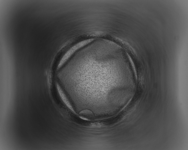 X0000100950591200807151338