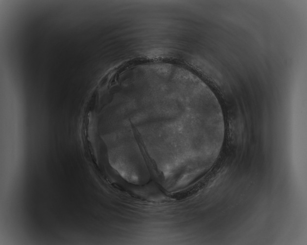 X0000100950592200807151338