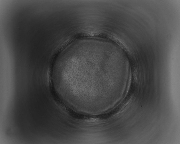 X0000100950594200807151338