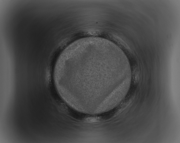 X0000100950595200807151338