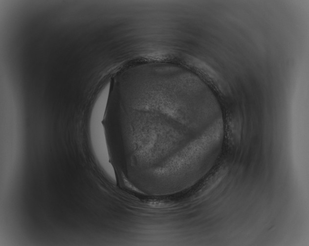 X0000100950596200807151338