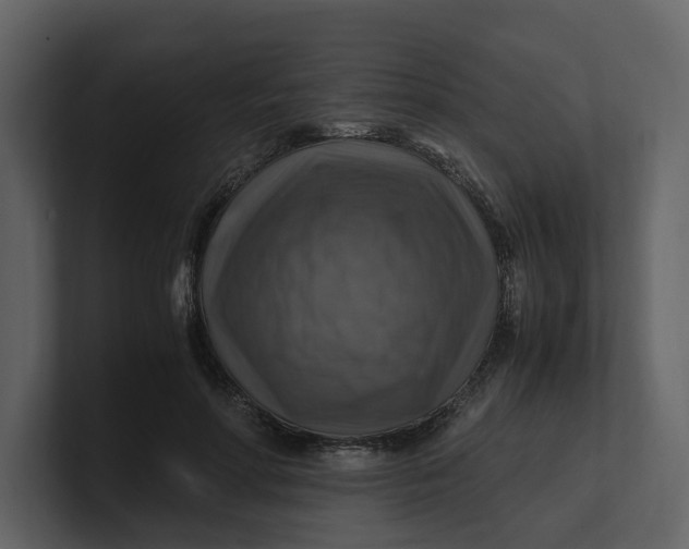 X0000100950598200807151338