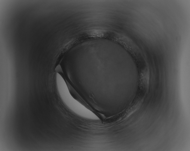 X0000100950600200807151338