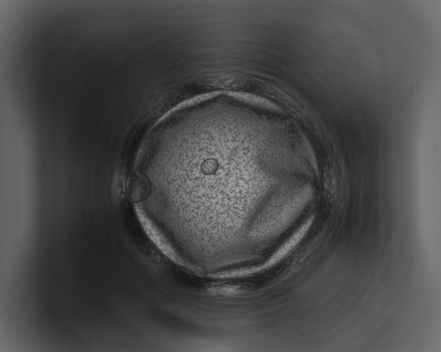 X0000100950602200807151338