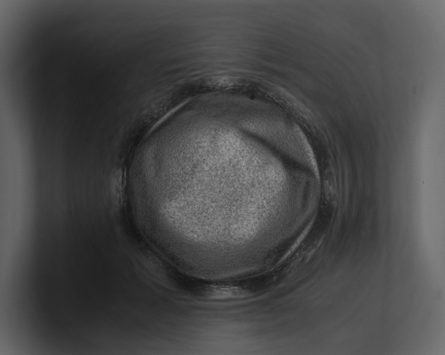 X0000100950605200807151338