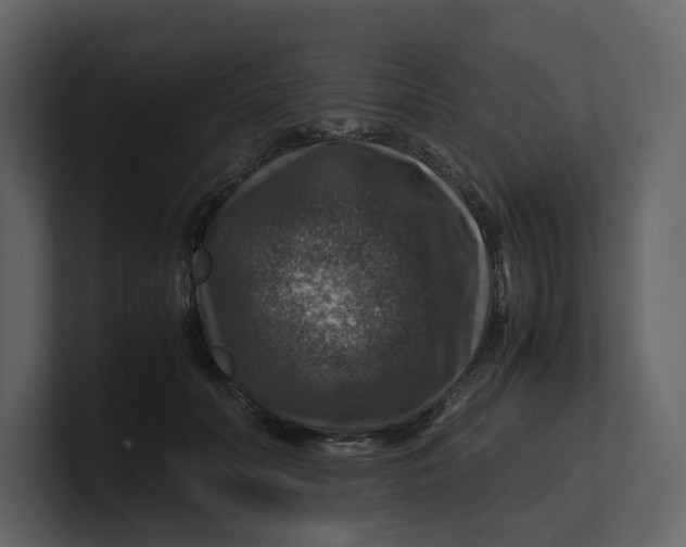 X0000100950606200807151338