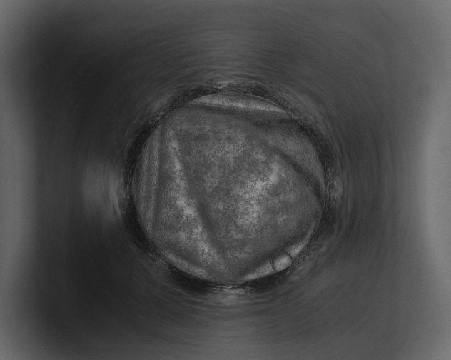 X0000100950607200807151338