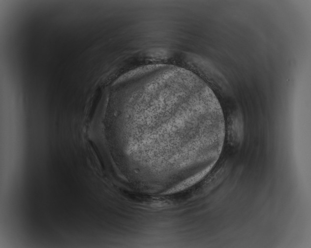 X0000100950608200807151338