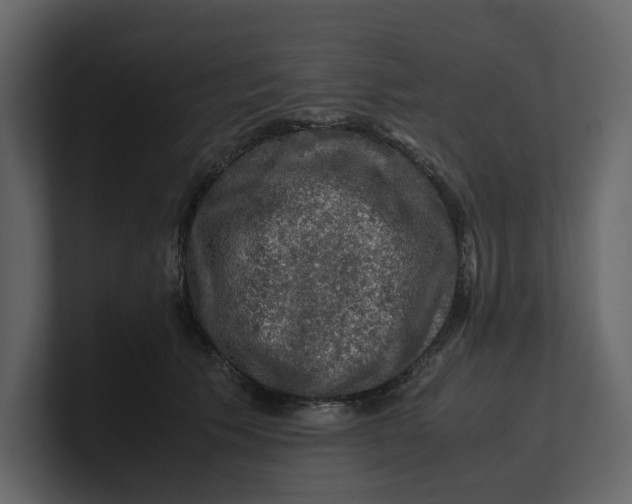 X0000100950609200807151338