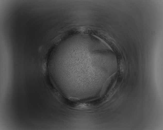 X0000100950611200807151338