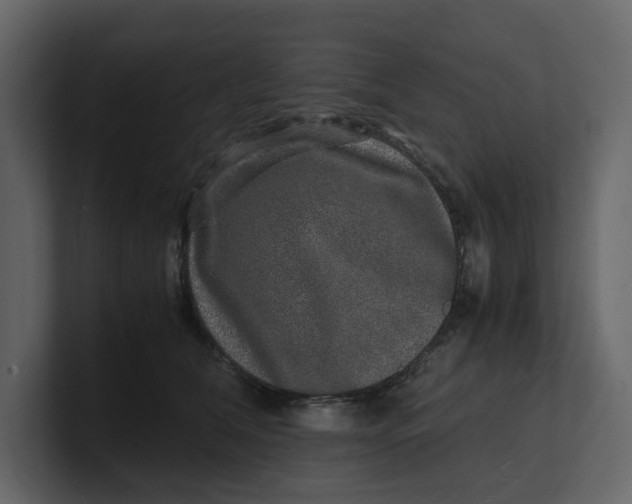 X0000100950612200807151338