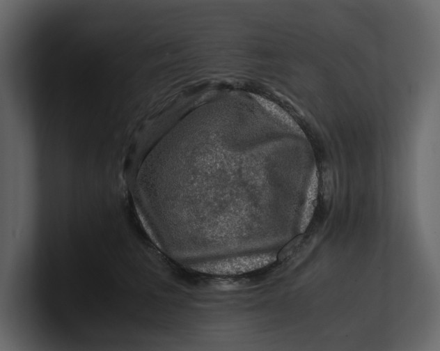 X0000100950613200807151338