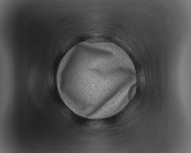 X0000100950615200807151338