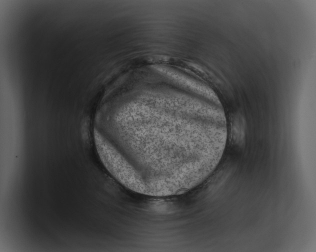 X0000100950616200807151338