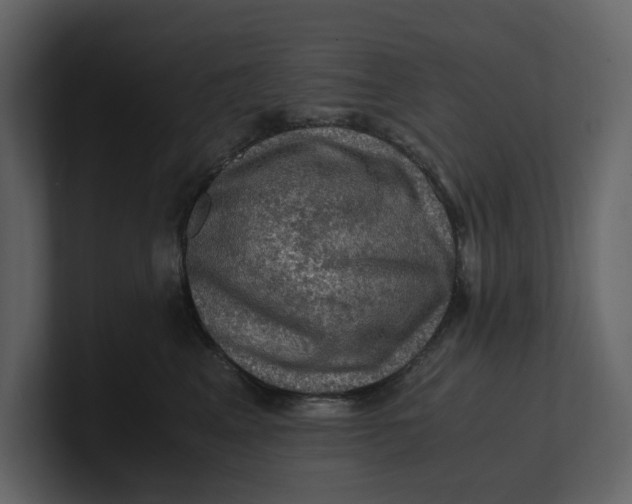 X0000100950617200807151338